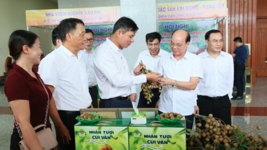 Over 50,000 tons of Hung Yen longans set for exports to global market